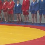 Студенты ВФ РГУ «СоцТех» приняли участие в I городском турнире по демонстрационному самбо Студенты ВФ РГУ «СоцТех» приняли участие в I городском турнире по демонстрационному самбо