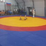Студенты ВФ РГУ «СоцТех» приняли участие в I городском турнире по демонстрационному самбо Студенты ВФ РГУ «СоцТех» приняли участие в I городском турнире по демонстрационному самбо