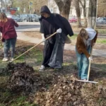 Студенты ВФ РГУ СоцТех внесли вклад в преображение города-героя Студенты ВФ РГУ СоцТех внесли вклад в преображение города-героя