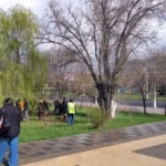 Студенты ВФ РГУ СоцТех навели порядок на улице Титова Студенты ВФ РГУ СоцТех навели порядок на улице Титова
