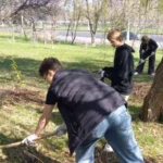 Студенты ВФ РГУ СоцТех навели порядок на улице Титова Студенты ВФ РГУ СоцТех навели порядок на улице Титова