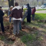 Студенты ВФ РГУ СоцТех внесли вклад в преображение города-героя Студенты ВФ РГУ СоцТех внесли вклад в преображение города-героя