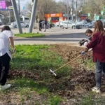 Студенты ВФ РГУ СоцТех внесли вклад в преображение города-героя Студенты ВФ РГУ СоцТех внесли вклад в преображение города-героя