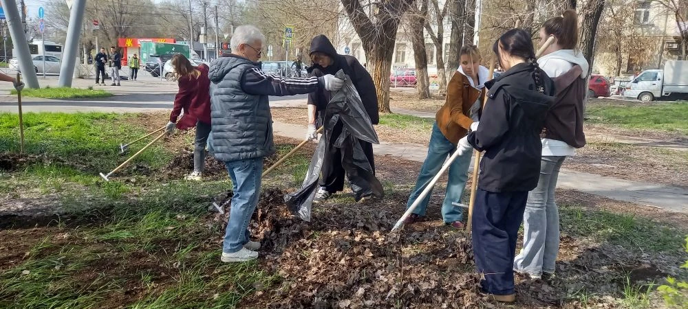 Студенты ВФ РГУ СоцТех внесли вклад в преображение города-героя