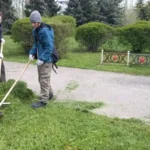 Студенты ВФ РГУ СоцТех присоединились к Всероссийскому субботнику и привели в порядок «Остров Людникова» Студенты ВФ РГУ СоцТех присоединились к Всероссийскому субботнику и привели в порядок «Остров Людникова»