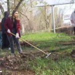 Студенты ВФ РГУ СоцТех внесли вклад в преображение города-героя Студенты ВФ РГУ СоцТех внесли вклад в преображение города-героя