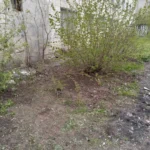 Субботник: и в городе, и в филиале Субботник: и в городе, и в филиале