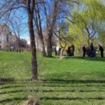 Студенты ВФ РГУ СоцТех навели порядок на улице Титова Студенты ВФ РГУ СоцТех навели порядок на улице Титова