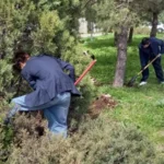 Субботник: и в городе, и в филиале Субботник: и в городе, и в филиале