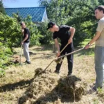 Студенты ВФ РГУ СоцТех навели порядок в Областном геронтологическом центре Студенты ВФ РГУ СоцТех навели порядок в Областном геронтологическом центре