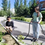 Студенты ВФ РГУ СоцТех навели порядок в Областном геронтологическом центре Студенты ВФ РГУ СоцТех навели порядок в Областном геронтологическом центре