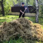 Студенты ВФ РГУ СоцТех навели порядок в Областном геронтологическом центре Студенты ВФ РГУ СоцТех навели порядок в Областном геронтологическом центре